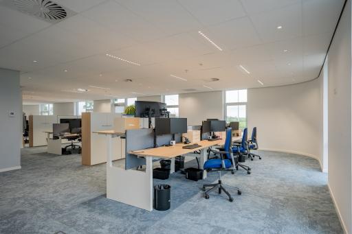 Peaceful workspace environment with natural light suitable for movement breaks